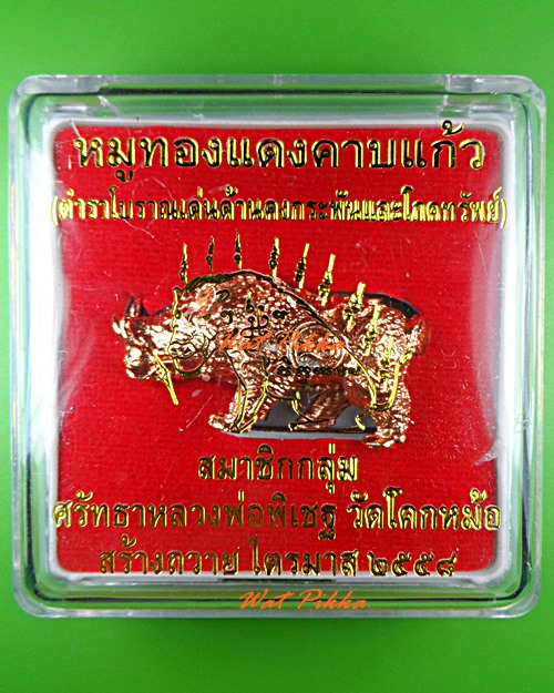 หมูทองแดงคาบแก้วหลวงพ่อพิเชฐ วัดโคกหม้อ ลพบุรี - 5