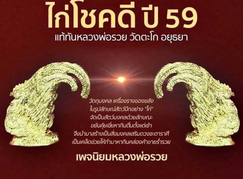 ไก่โชคดี หลวงพ่อรวยวัดตะโก ออกวัดบางแพรก บรรจุผงมหาลาภ ตอกโค้ต ทันตัวท่านเสก ปี2559  T028 - 5