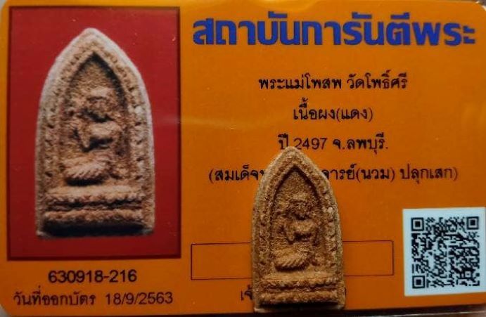 พระแม่โพสพ ปี 2497 สมเด็จฯนวม+บัตรรับรองพระแท้ - 3