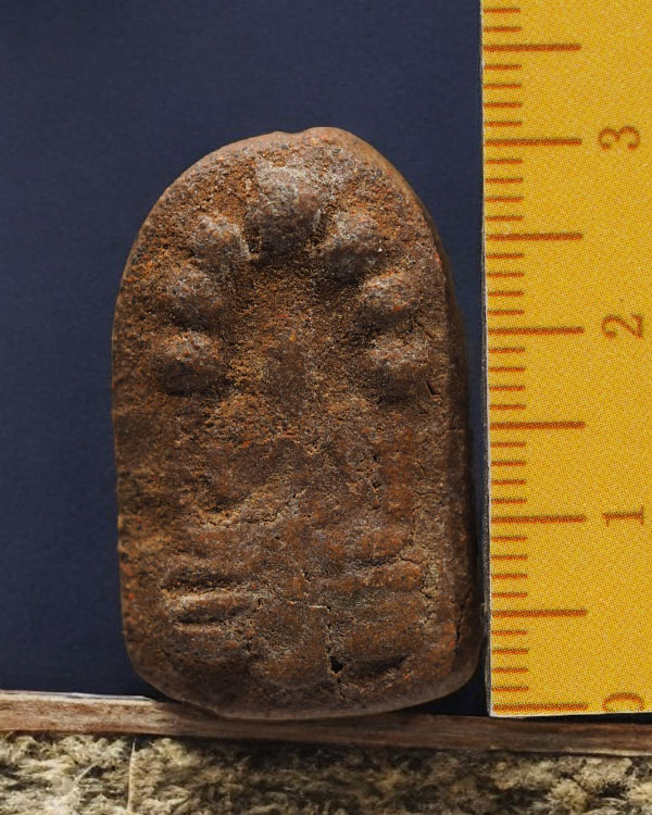 พระผงว่านนาคปรกพิมพ์ใหญ่ องค์พระธาตุพนม ปี๒๕๑๘ พิธีปลุกเสกใหญ่ อาจาย์ฝั้น, หลวงปู่จันทร์ วัดศรีเทพฯ - 3