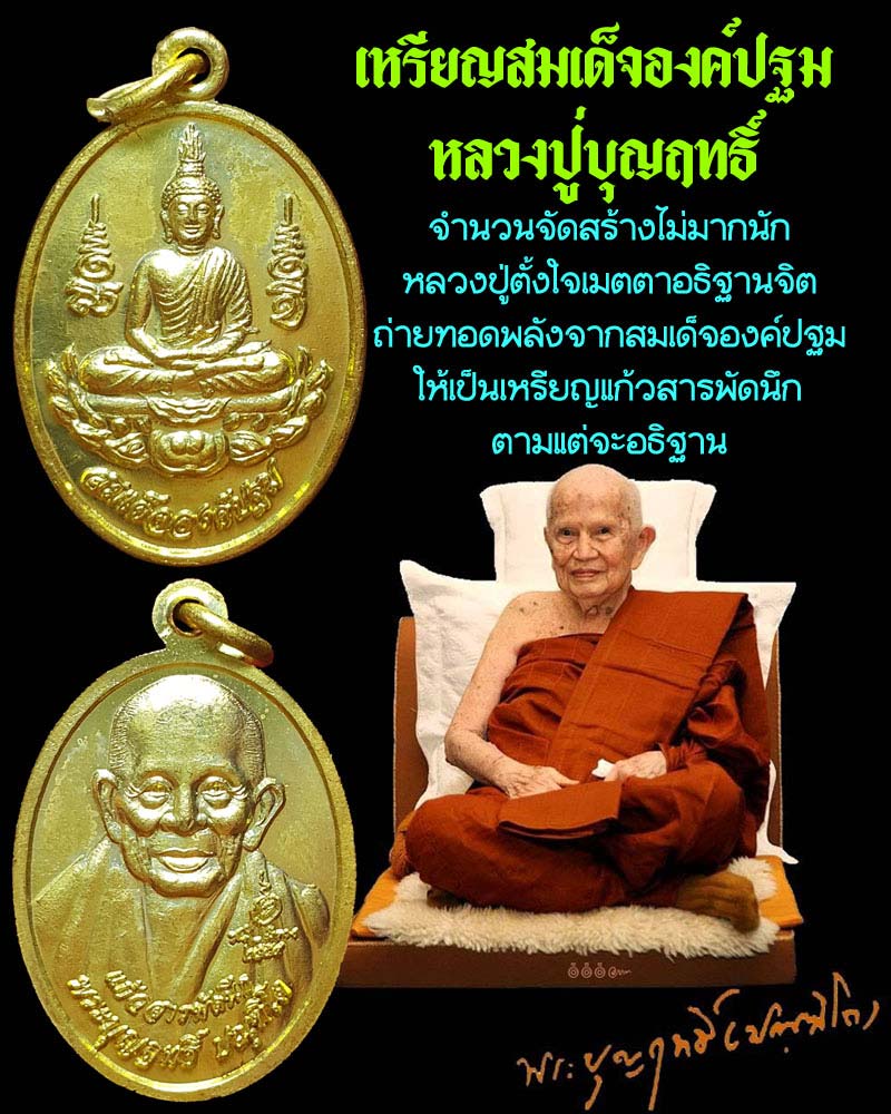 เหรียญสมเด็จองค์ปฐม หลวงปู่บุญฤทธิ์  รุ่นแก้วสารพัดนึก - 1