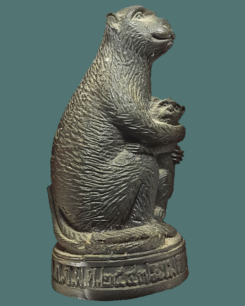 ลิงอุ้มลูกวัดเขาคันหอก กาญจนบุรี - 3