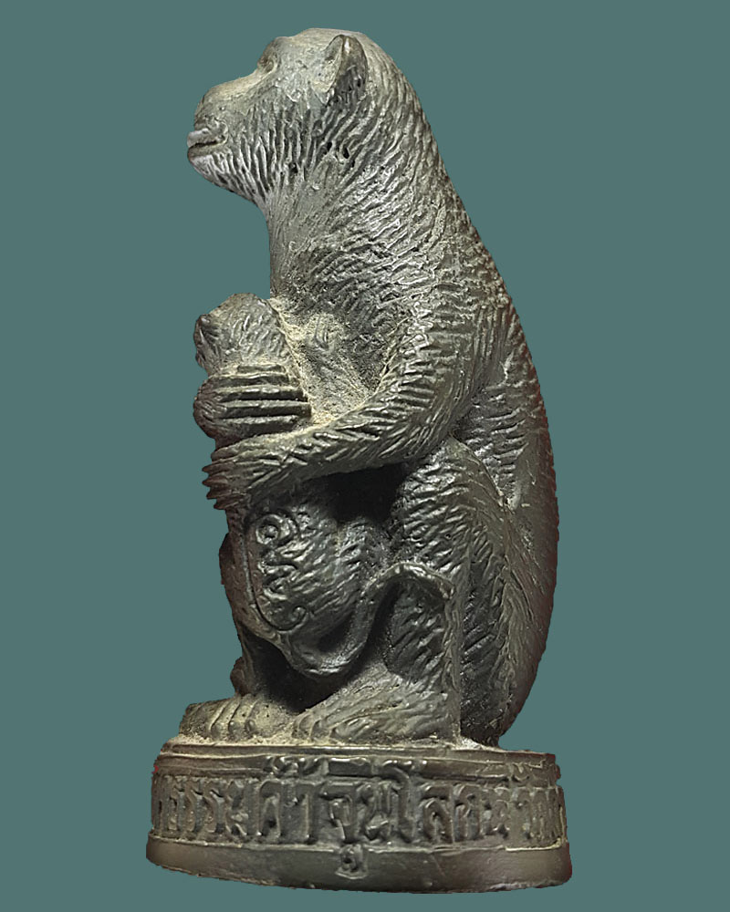 ลิงอุ้มลูกวัดเขาคันหอก กาญจนบุรี - 4