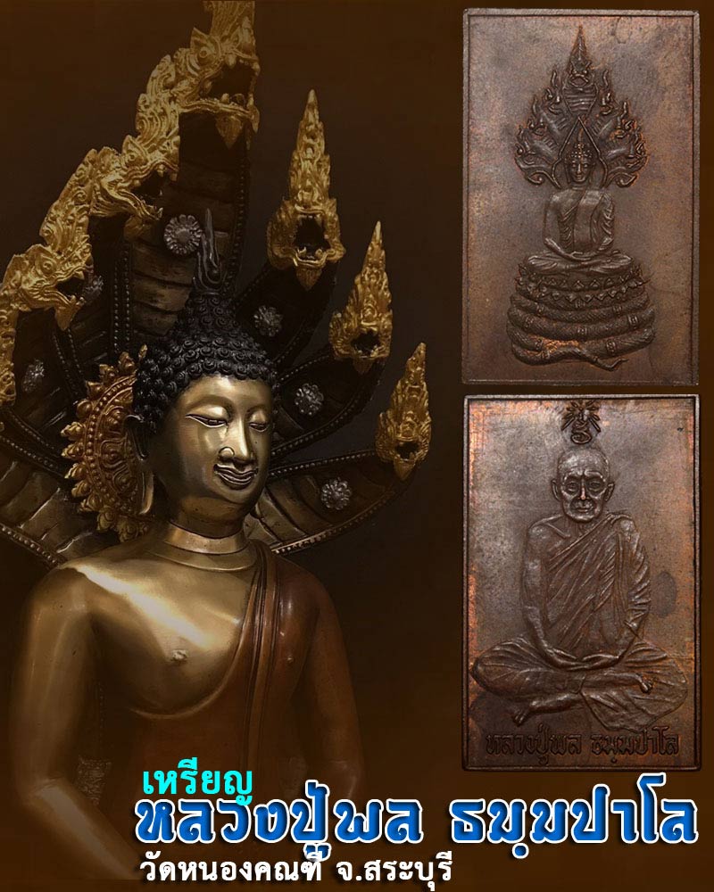 เหรียญ หลวงปู่พล วัดหนองคณฑี หลังพระนาคปรก  - 1