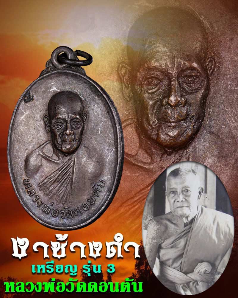 หลวงพ่อ วัดดอนตัน งาช้างดำ - 1