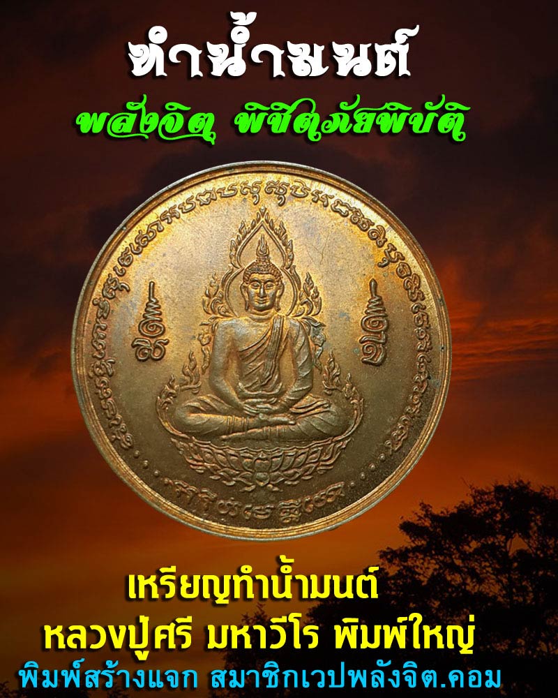 เหรียญทำน้ำมนต์ หลวงปู่ศรี มหาวีโร พิมพ์ใหญ่  - 1