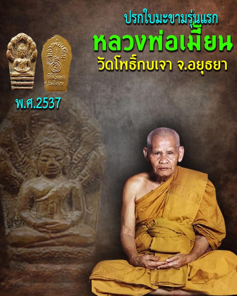 ปรกใบะขาม รุ่นแรก หลวงพ่อเมี้ยน วัดโพธิ์กบเจา - 1