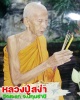 พระผง หลวงปู่สง่า วัดสะแก (ผงอิทธิเจ อ่อนใจรัก) (1)