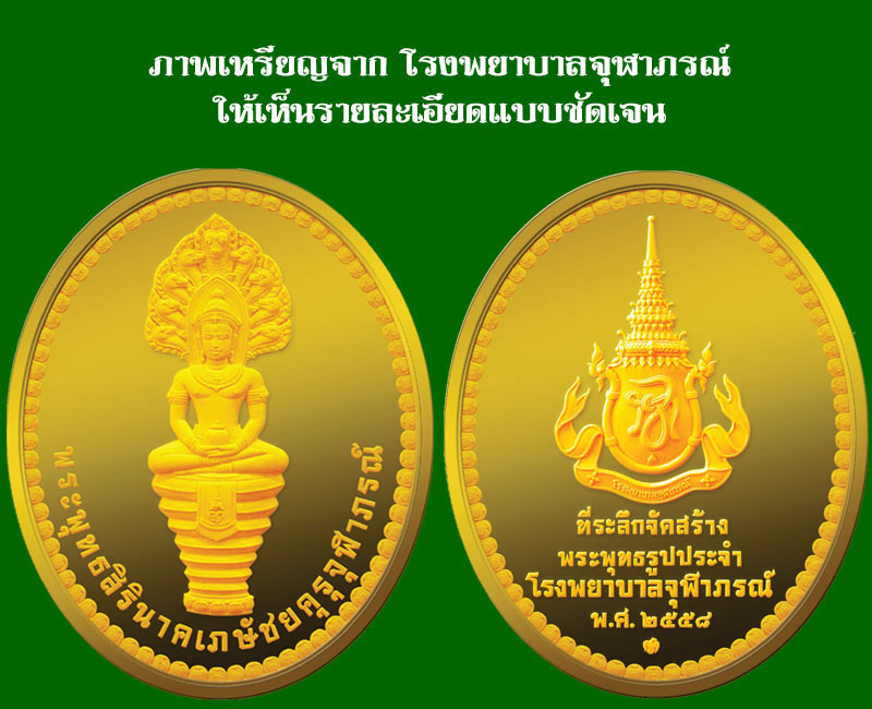 พระพุทธสิรินาคเภษัชยคุรุจุฬาภรณ์ (เหรียญพระพุทธโอสถ) - 2