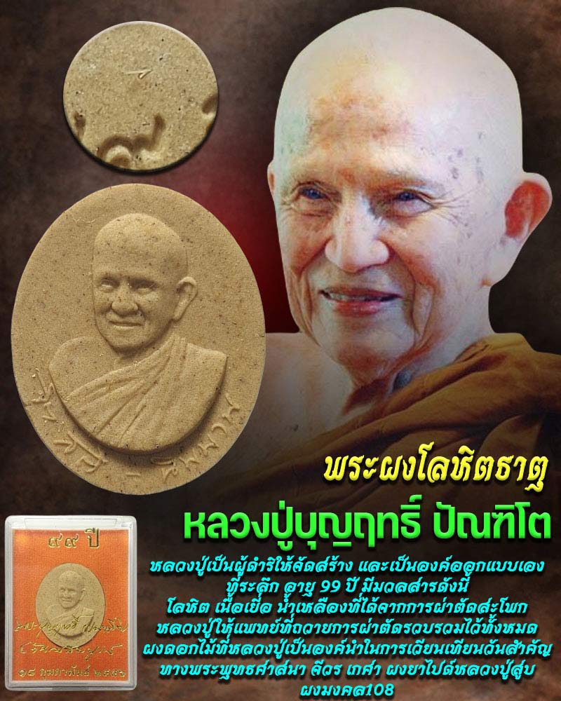 พระผงโลหิตธาตุ 99 ปี หลวงปู่บุญฤทธิ์ ปัณฑิโต - 1